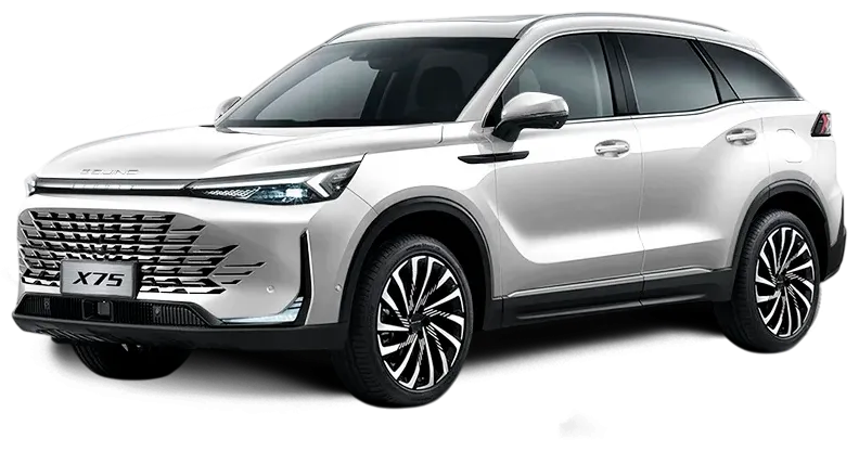 Баннер BAIC X75